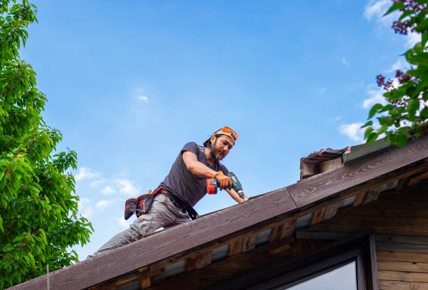 Best Storm Damage Roof Repair  in Kimberling City, MO